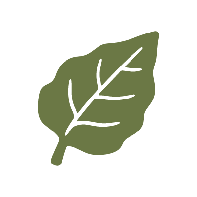 Horta